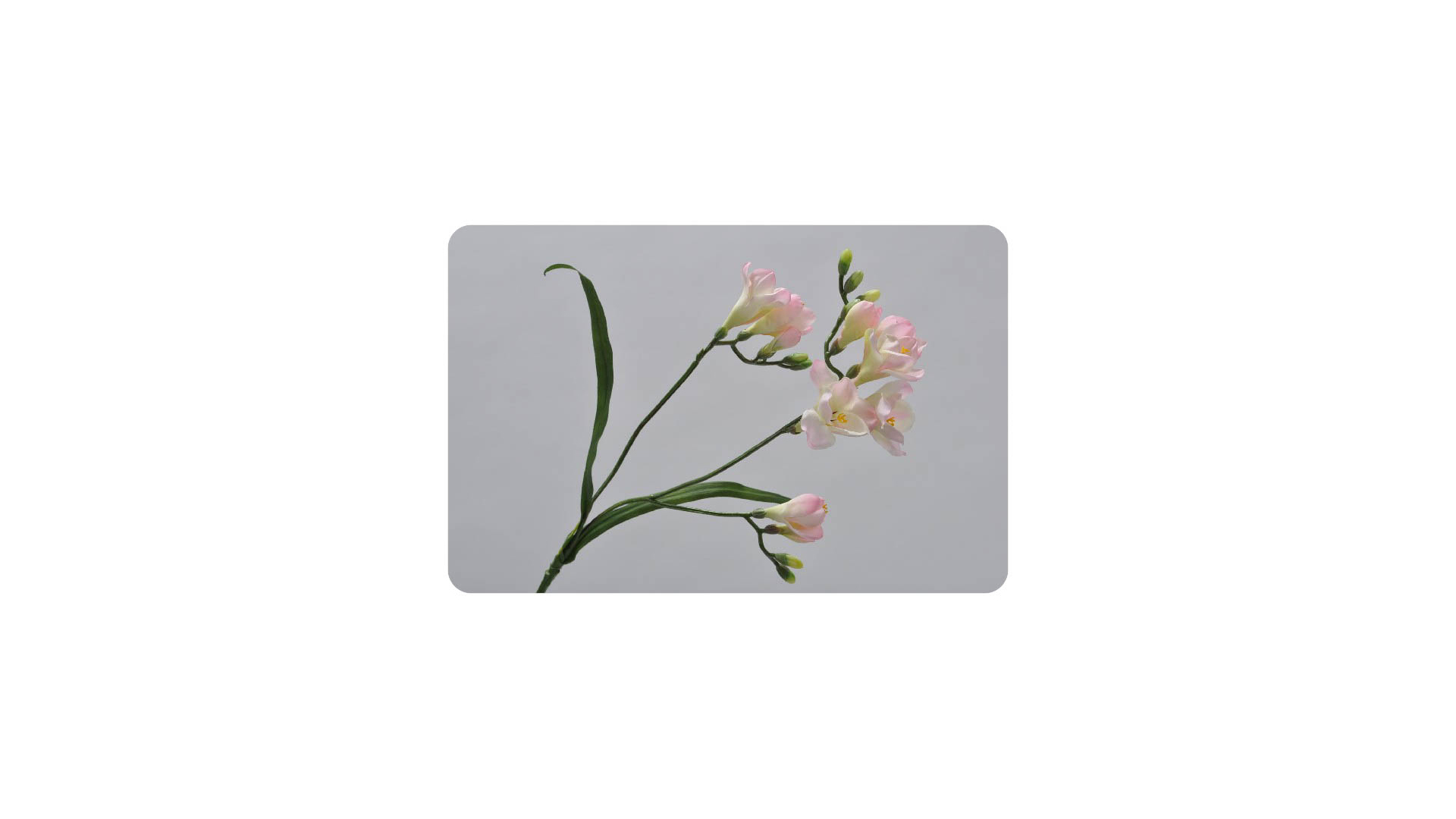 Цветок искусственный Silk-ka "Фрезия" 64см (розовый)