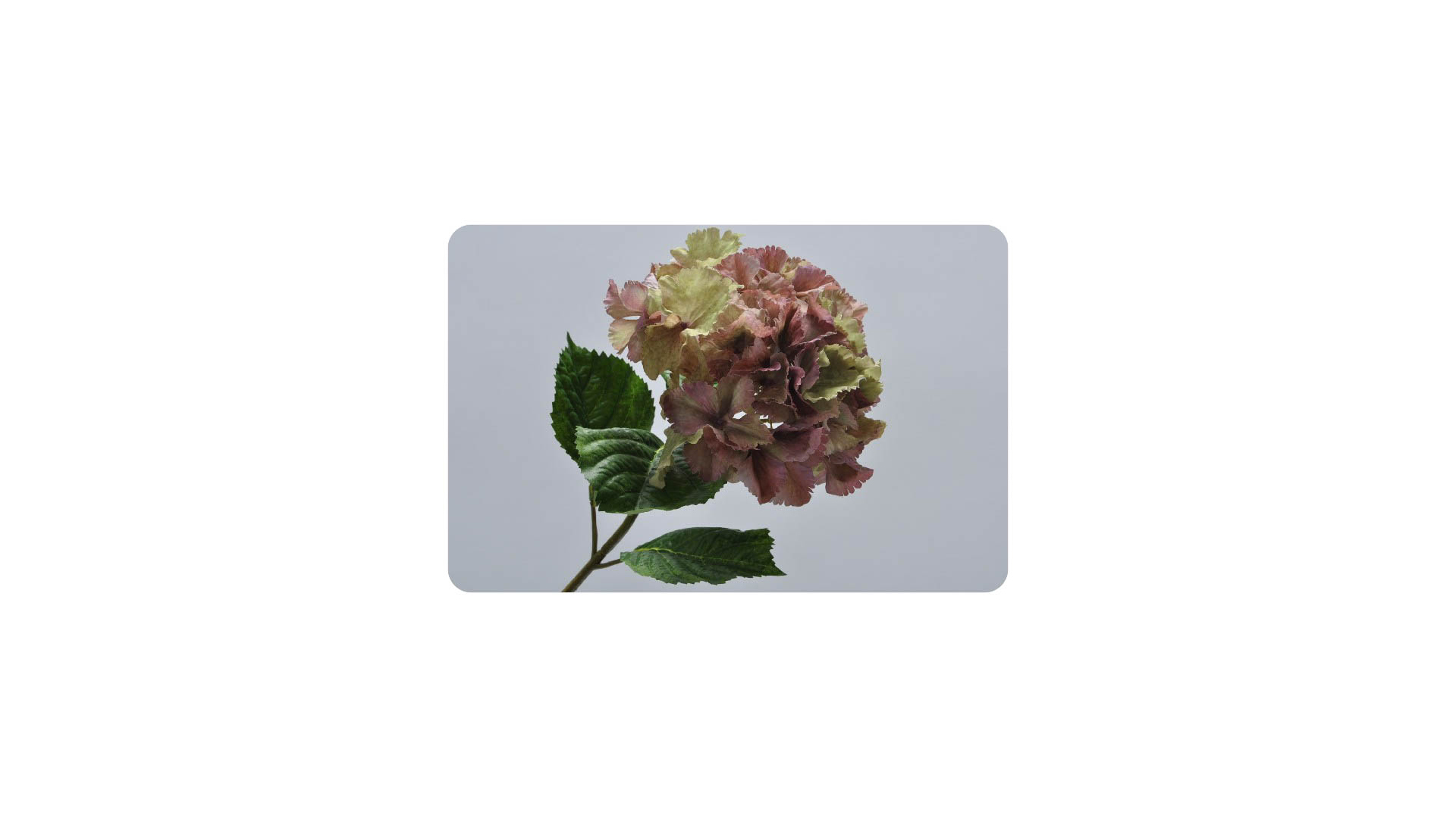 Цветок искусственный Silk-ka "Гортензия" 63см (лавандовый)