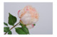 Цветок искусственный Silk-ka "Пион" 58см (розовый)