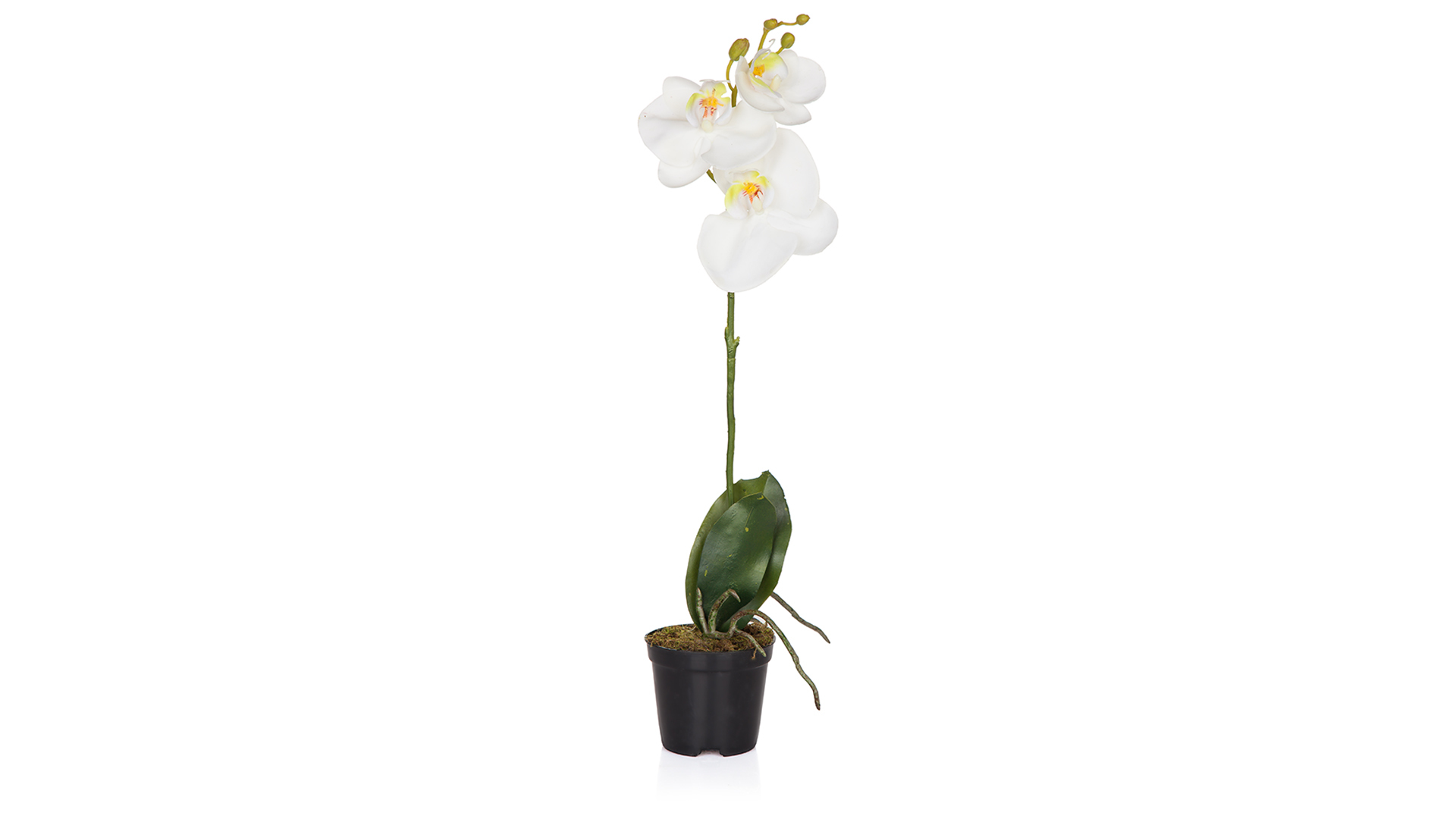 Цветок искусственный в горшке Silk-ka Орхидея 48 см, белый