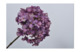 Цветок искусственный Silk-ka "Гортензия" 68см (лавандовый)