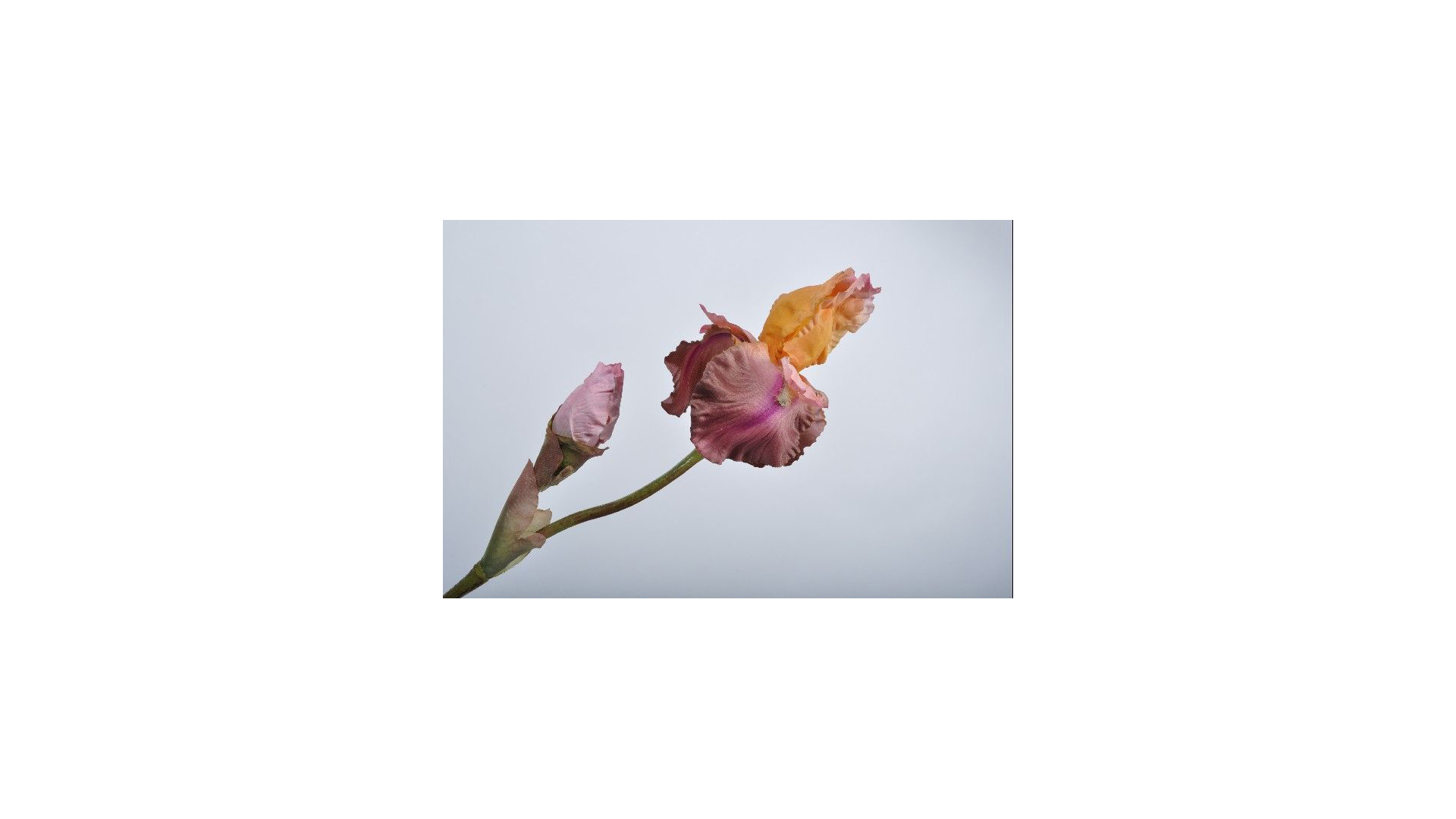 Цветок искусственный Silk-ka "Ирис" 79см (желто-лиловый)