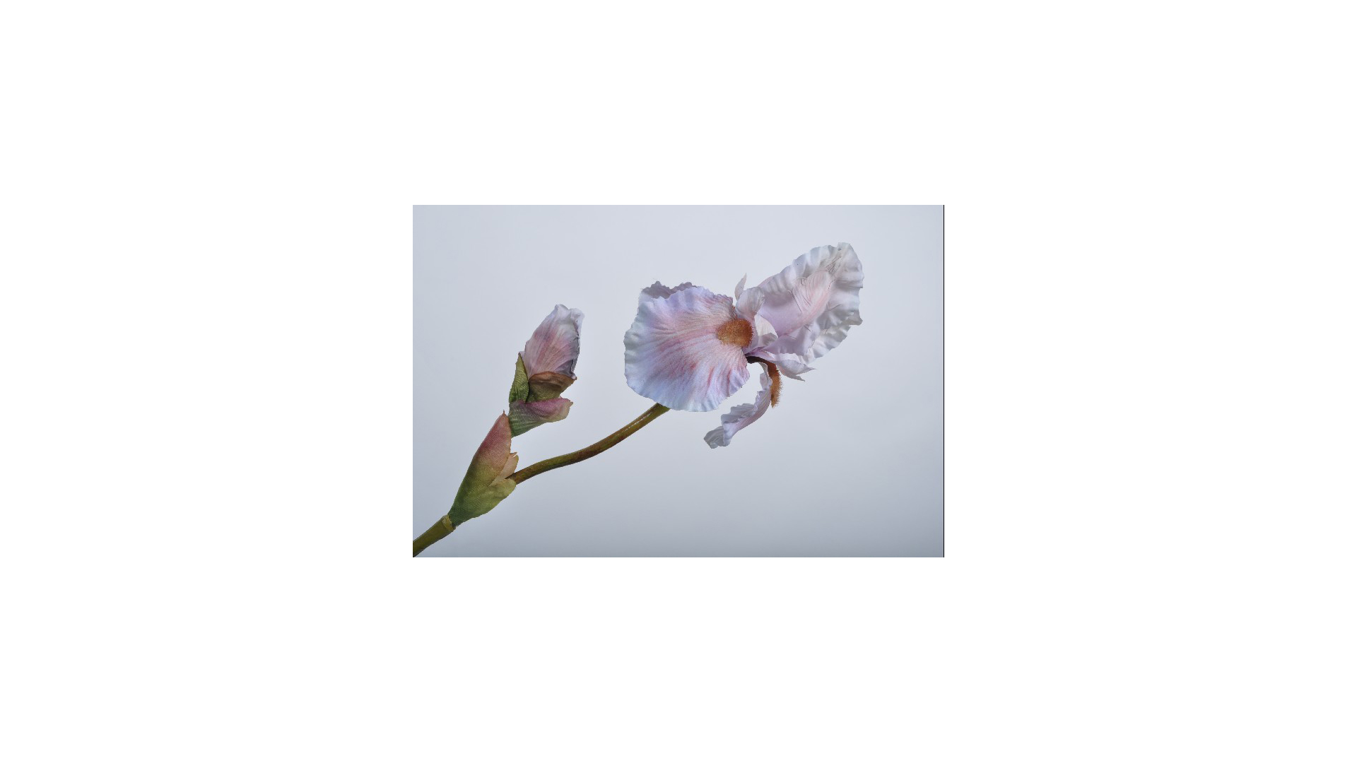 Цветок искусственный Silk-ka "Ирис" 79см (оранжево-лавандовый)