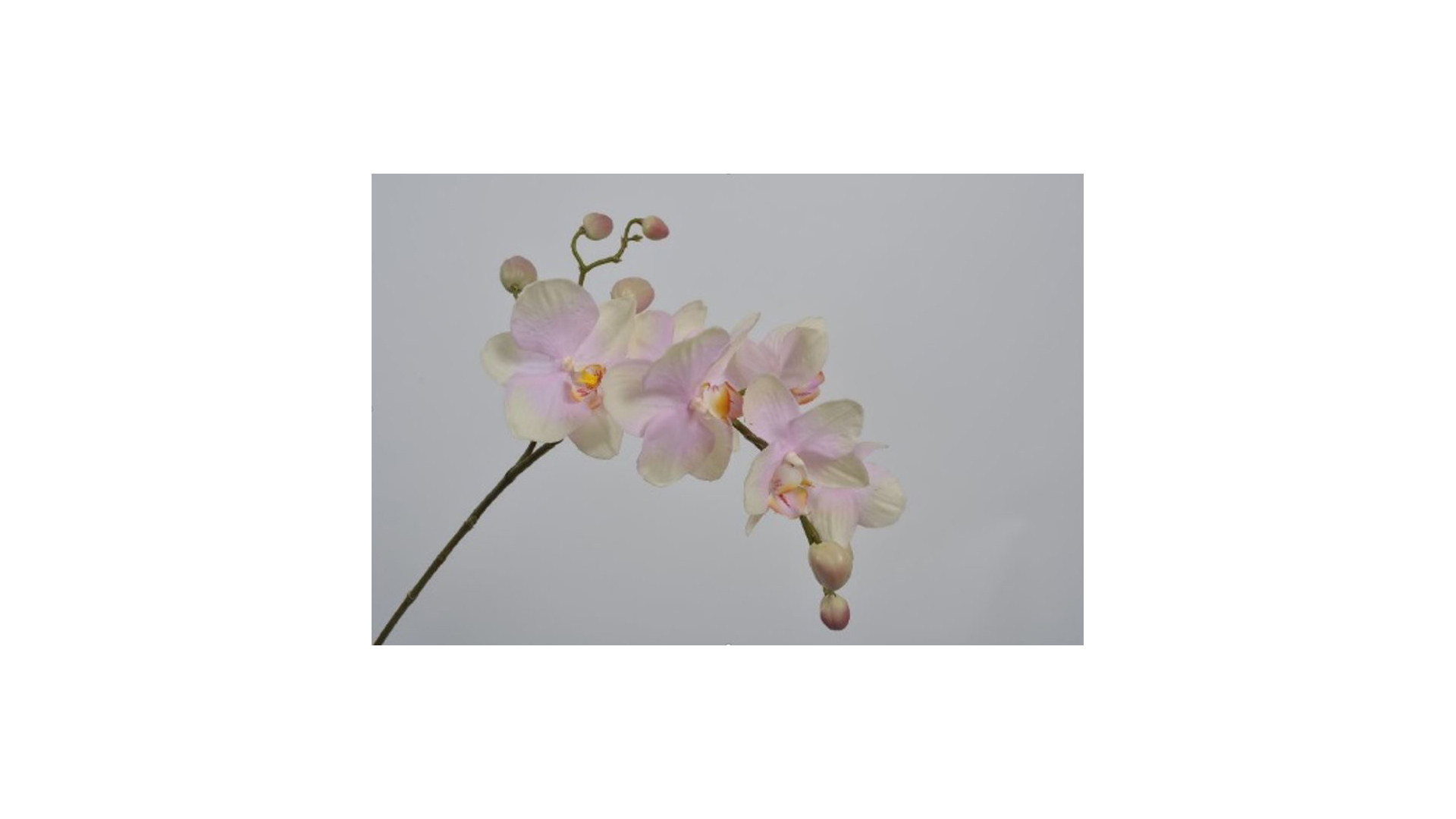Цветок искусственный Silk-ka "Орхидея" 70см (розово-белый)