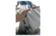 Фигурка Lladro Покатаемся 24x21 см, фарфор