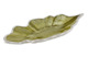 Блюдо Argenesi Foglia 28,5 см, золотое, стекло