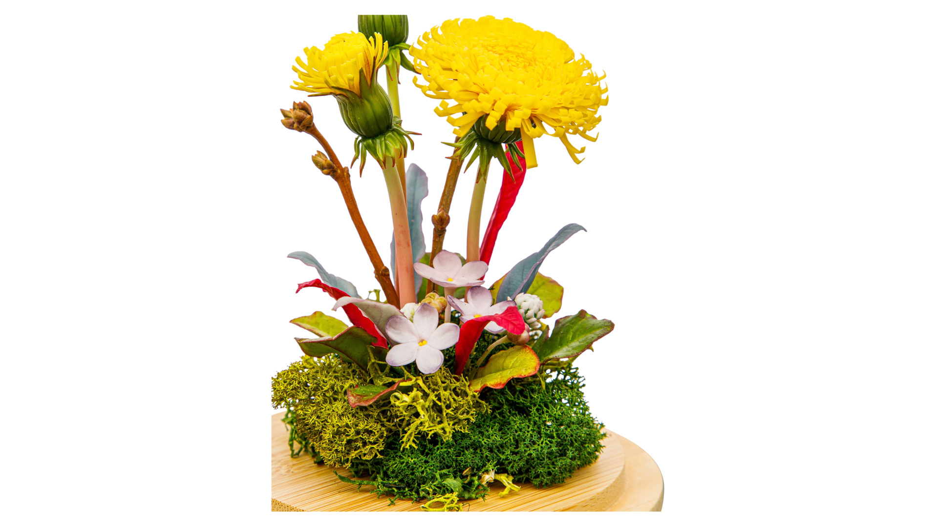 Композиция из холодного фарфора в куполе Одуванчики с полевыми цветами и клевером