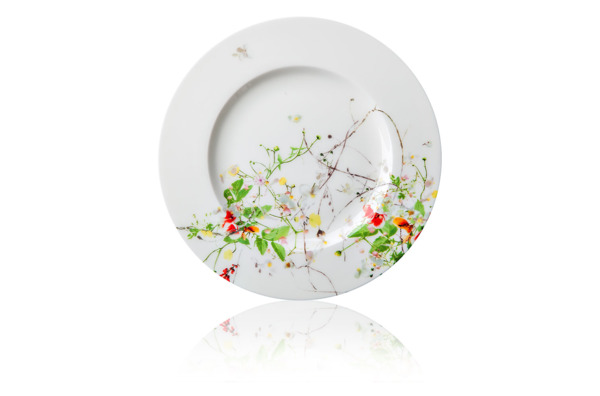 Тарелка десертная с бортом Rosenthal Дикие цветы 19 см, фарфор костяной