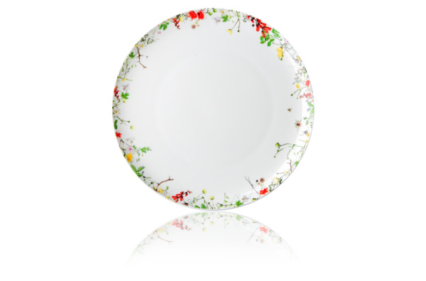 Набор тарелок обеденных Rosenthal Дикие цветы 27 см, фарфор костяной, 6 шт