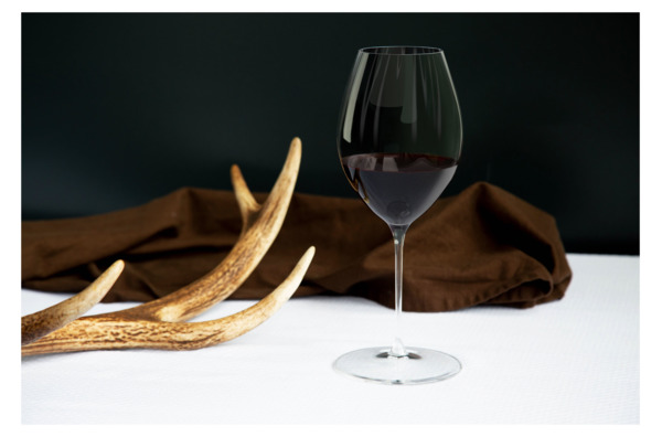 Бокал для красного вина Riedel Performance Shiraz 631 мл, h24,5 см, стекло хрустальное